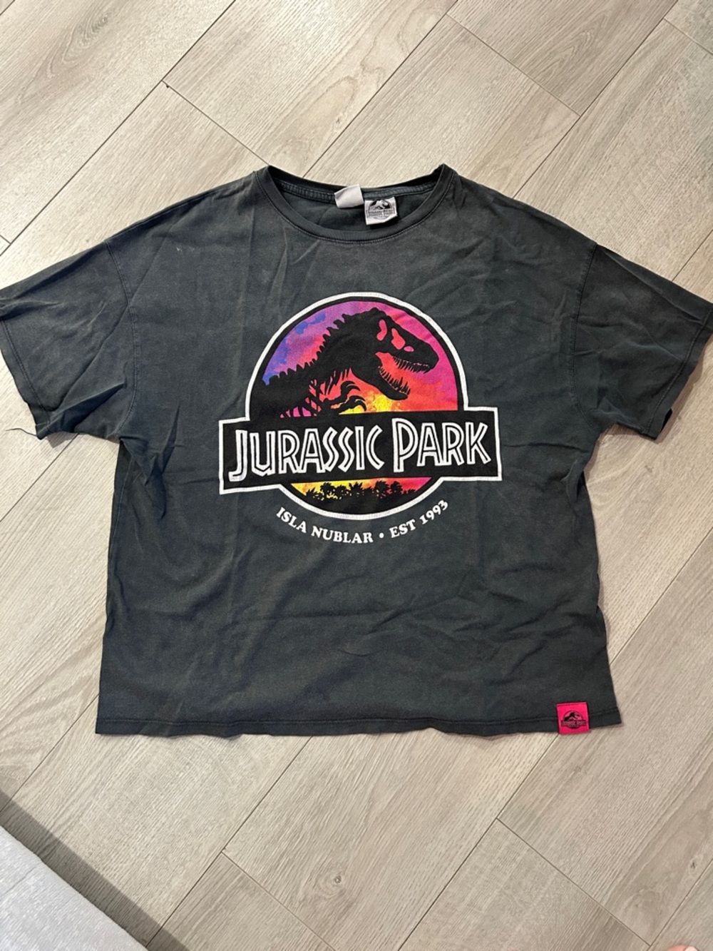 Zara Black Kids Jurassic Park Tee with Rainbow Sunset Graphic